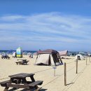 하조대해수욕장 화장실 3 이미지