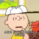 경기도 수원시 영통구 권선로 882번길 이미지