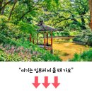 수국과 연꽃의 화려한 조화=삼선산수목원과 아미미술관 이미지