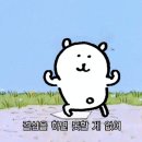 도쿄에서 집구하기 대장정(한인부동산 추천/민트부동산 솔직후기)