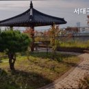 서대구실버하우스