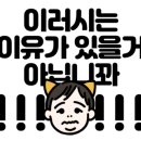 신미사 이미지