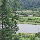 신114공인중개사사무소 이미지