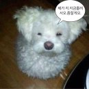 주공코끼리슈퍼 | 오래 기다린 방콕일기