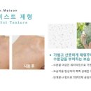 닥터메종