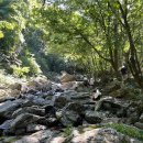 계곡속의바위집 | [춘천 자연휴양림] 계곡 물놀이 가능한 4인 숲속의집 복자기 예약 후기 &#34;집다리골자연휴양림&#34;(매점X)