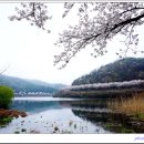 고남저수지 이미지