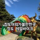 청도천9 | 가을 청도 가볼만한곳 청도레일바이크