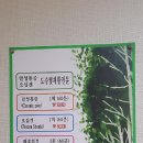 엄지지압안마원 이미지