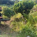 도촌 주유소 이미지