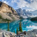 비즈트랜스 외국어번역 행정사사무소 이미지