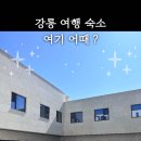 스테이인강릉