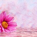 연필 & 색연필화 이미지