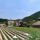 우방최고공인중개사사무소 이미지