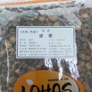 동경종합상사
