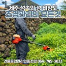 제주비양도협동조합