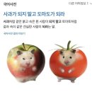 냠냠 - 마포구 성산동 | 냠냠