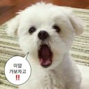 화성시자원봉사센터 강당 이미지