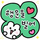 용인대 베스트 태권도장 이미지