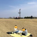 김밥천국당동점 네이버블로그