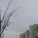 조양시티프라자 이미지