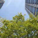 파리바게뜨 화양시장점 이미지