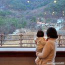 대관령옛길펜션 | 강릉 대관령 카페, 대관령옛길 마운틴뷰 유럽 감성 카페, 카페 마눌(cafe manul)