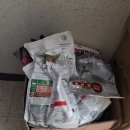 척척 동물의료센터 이미지