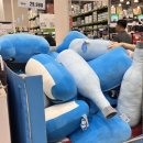 유림-1133 | 9월 사무직은 처음이라