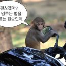 예나함