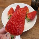 주식회사 맛있는이야기 노랑저고리 | 소정동] 시니어는소중하니까 덕수궁시청역워크샵 미팅룸 파티룸모임추천
