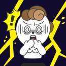 백토민박 | 제주여행 2박3일 하도리 숙소, 담뜨락에 가다