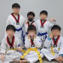 한마음 태권도장 이미지