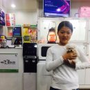 셰퍼트 분양 | 진접강아지분양 남양주말티즈분양 후기 입니다~