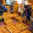 오림농장 이미지