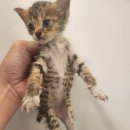 하빈로84길 이미지