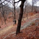 우면산7-2-2 이미지