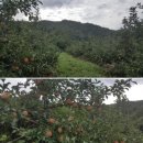 재숙농장 이미지