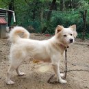 울산농장 이미지