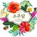 줌1이 좋아하는 남자아이돌 비주얼 합.jpgif 이미지