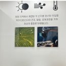 카페차이수서로즈데일점