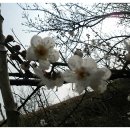 섬진강 트레킹코스 이미지