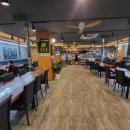 금빛한돈 이미지