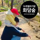 숲으로 가는 어린이집 | 화담숲 아이동반 현실 꿀팁 총정리 (유모차, 추천코스, 모노레일, 수유실)