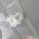 동일2차세탁 이미지