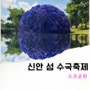 [섬여행]신안 도초도(수국축제)&비금도 tour 감성여행. 54 이미지