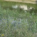 column | column Furry Cork Sandals 후기, 낫띵리튼 스크런치 블랙 후기, GBH 레인 러버 부츠 후기