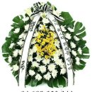 여주-0591 이미지