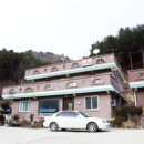 괴목민박 이미지