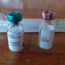 모서동물병원 이미지